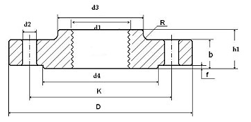 EN 1092-1 TYPE 13 Flange Manufacturer & Exporter